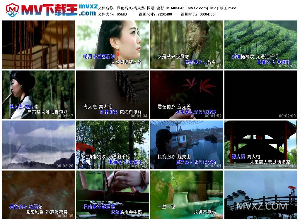 雅雨清风-离人殇_国语_流行_MD405643
